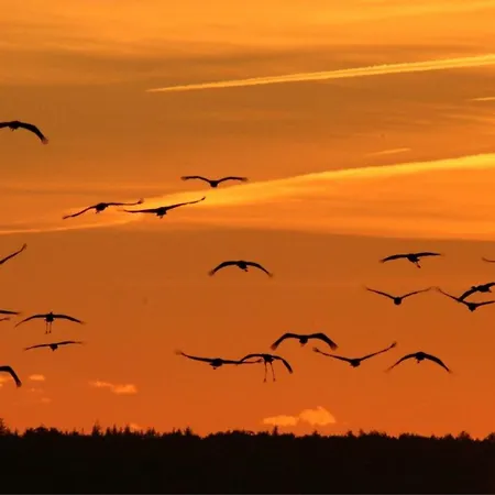 Σπίτι διακοπών Lee